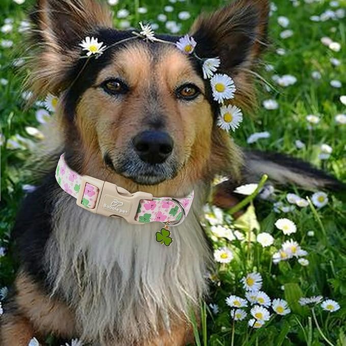 St Patricks Day Dog Collar for Large Dogs - Cute Light Pink Shamrock Girl Dog Collars, Adjustable Irish Clover Puppy Collar with Quick Release Buckle L