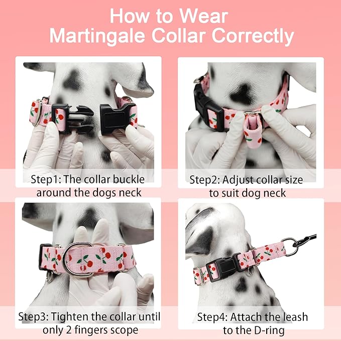 Martingale Dog Collar for Medium Dogs with Buckle No Pull Pink Girl Cute Dog Collars (Cherry, Medium)