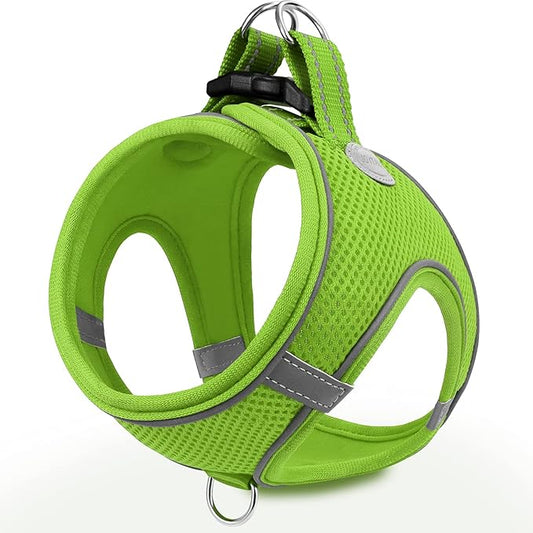 Joytale Small Dog Harness, Breathable Mesh Step-in Vest, Reflective Soft Padded Harnesses for Cats, Puppies and Extra Small Dogs, Green, XXS