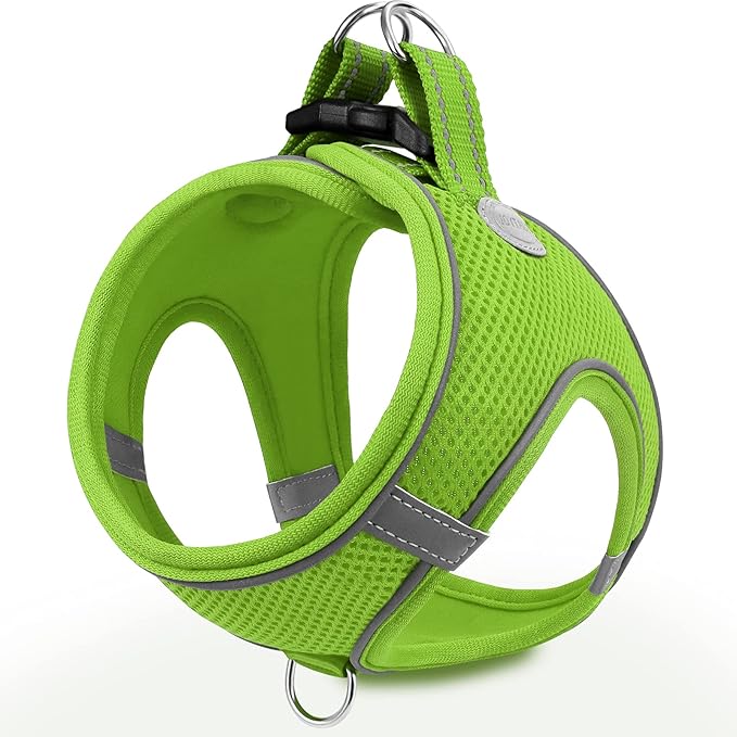 Joytale Small Dog Harness, Breathable Mesh Step-in Vest, Reflective Soft Padded Harnesses for Puppies and Extra Small Dogs, Green, XS