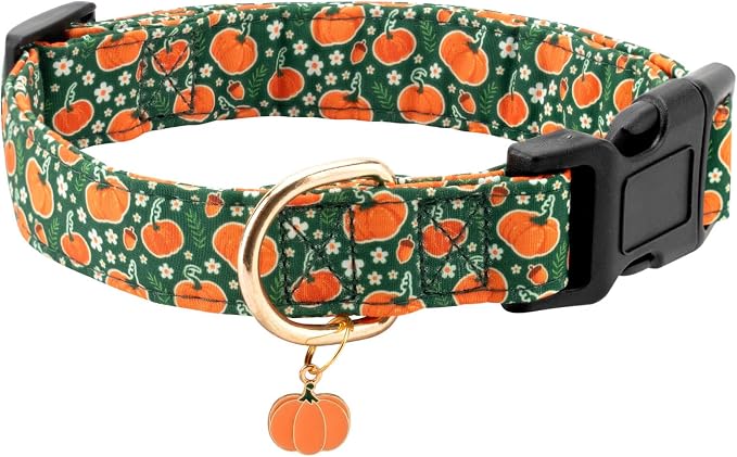 Fall Dog Collar,Soft and Cute Halloween Collars with Pumpkin Patterned Design for Girl Female Boy Dogs,Adjustable Buckle Pet Collar for Small Medium Large Dogs (Green Pumpkin, S)