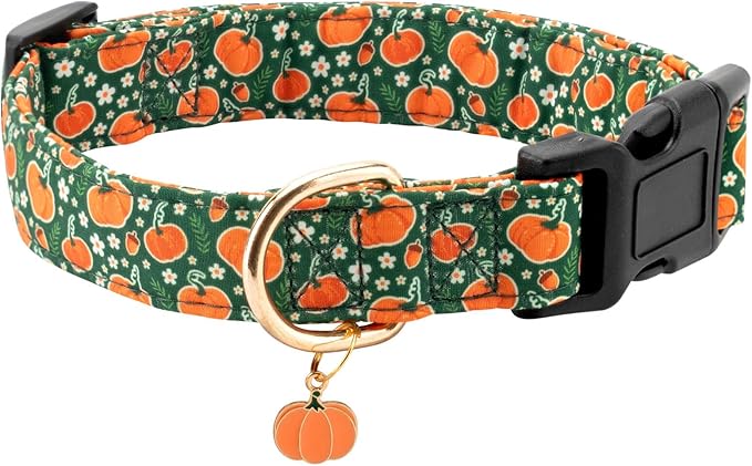 Fall Dog Collar,Soft and Cute Halloween Collars with Pumpkin Patterned Design for Girl Female Boy Dogs,Adjustable Buckle Pet Collar for Small Medium Large Dogs (Green Pumpkin, L)