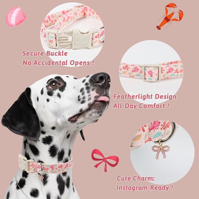 Maca Bates Summer Shell Basic Dog Collar Beach Puppy Collars for Extra Large Dogs Adjustable Durable Soft Comfortable Blue Sharks for Boy Girl Male Female Pet with White Safety Buckle