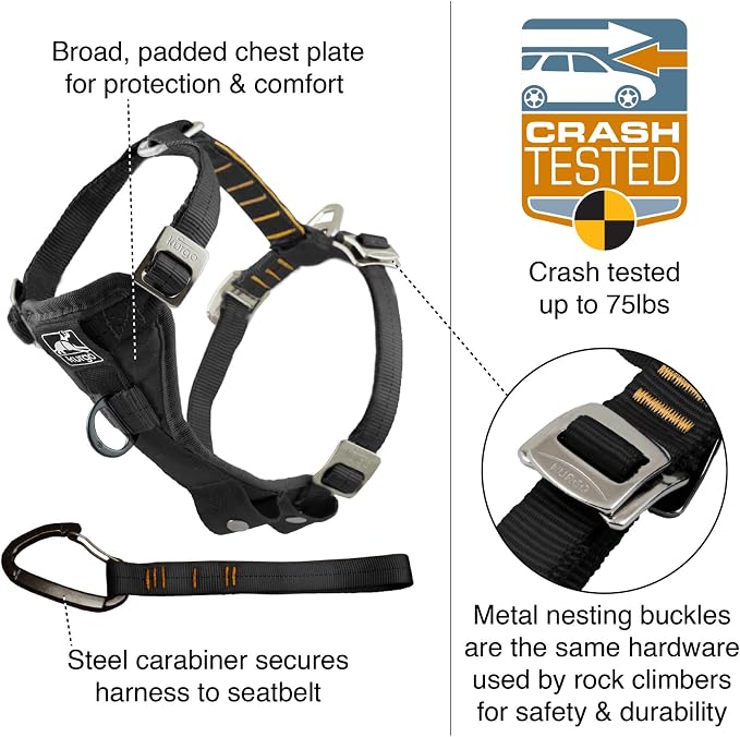 Kurgo Enhanced Strength Tru-Fit Dog Car Harness - Pet Travel Safety Harness - Crash Test Certified Fit - Five Point Adjustment - Secure Buckle - Padded Chest - Deep Violet - Small