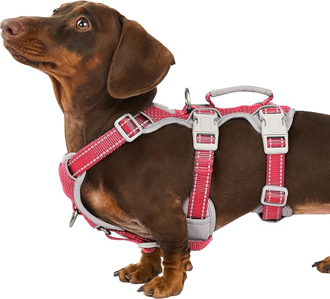 Huntboo No Escape Dog Harness, Escape Proof Harness, Fully Reflective Harness with Padded Handle, Breathable, Durable, Adjustable Vest for Small Dogs Walking,Training,and Running Gear(Red,S)