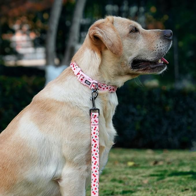 Dog Collar and Leash Set, Cute Cherry Pattern, Polyester Material, 5ft Leash, for Large Dogs.(Large,Pink Cherry)