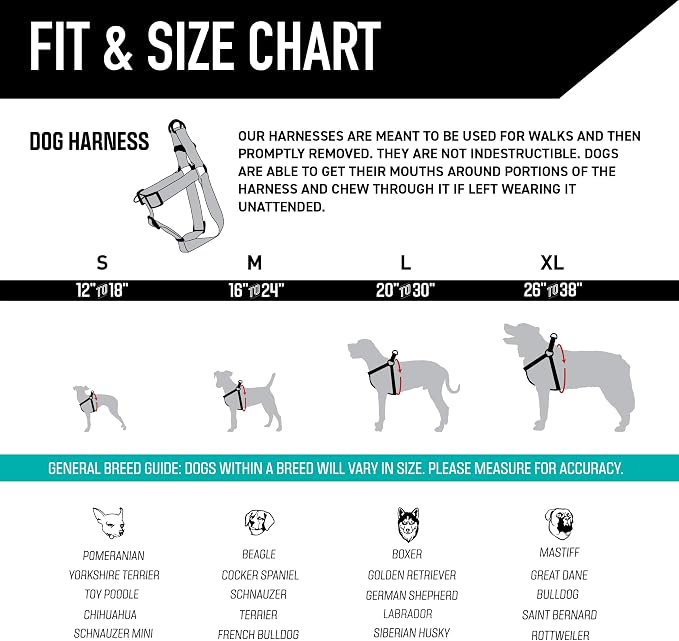 Wolfgang Heavy Duty Adjustable Dog Harness, Pull-Tested to Over 800 lbs for Walking & Training, Quetzal Print, Small