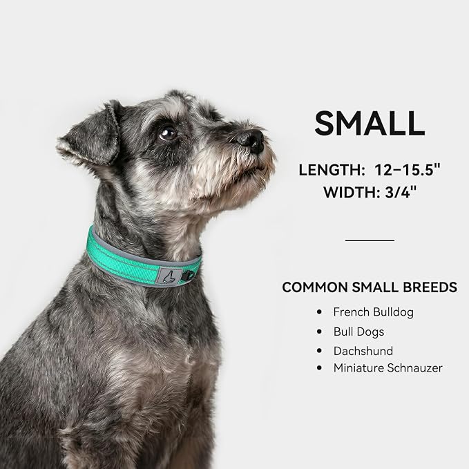 Joytale Dog Collar for Small Dogs, Neoprene Padded and Adjustable, Reflective Wide Heavy Duty Pet Collars with Durable Metal Belt Buckle for Walking, Teal, S