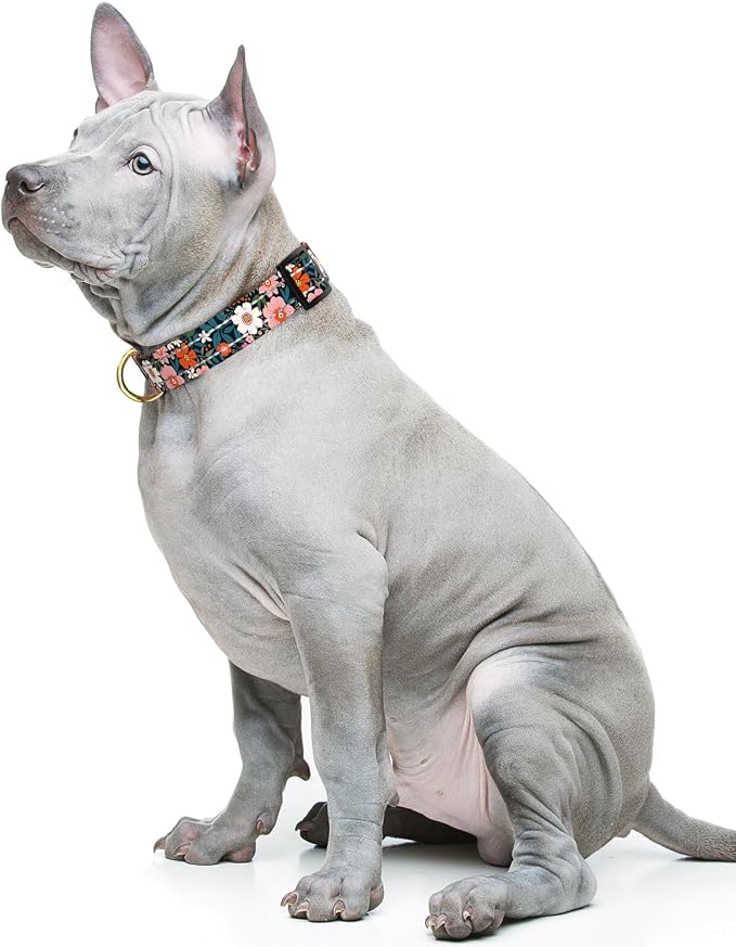 Reflective Dog Collar for Medium Dogs, Cute Flower Theme Adjustable Heavy-Duty Nylon Puppy Collar for Boy and Girl Female, Soft Pet Accessories with Quick Release Buckle, Elegant Floral