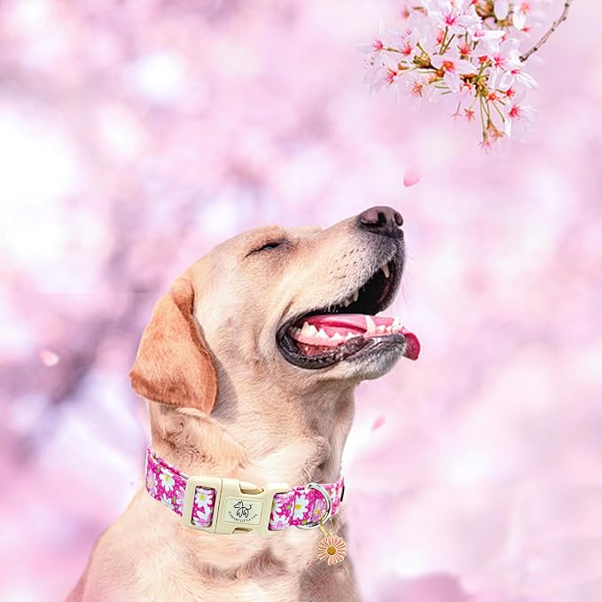 Elegant little tail Dog Collar, Pink Floral Print Pink Puppy Male Adjustable Cotton Pet Collar with Quick Release Buckle for Small Medium Large Dogs