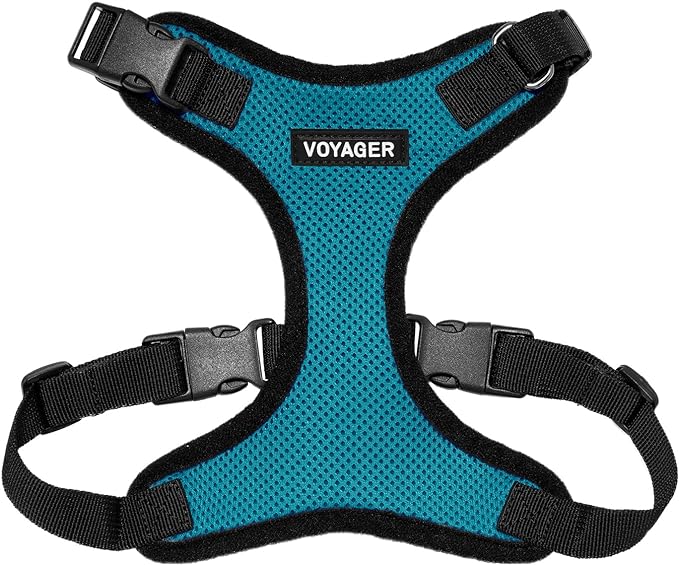 Voyager Step-in Pet Harness - All Weather Mesh, Adjustable Step in Harness for Cats and Dogs by Best Pet Supplies - Turquoise/Black Trim, L