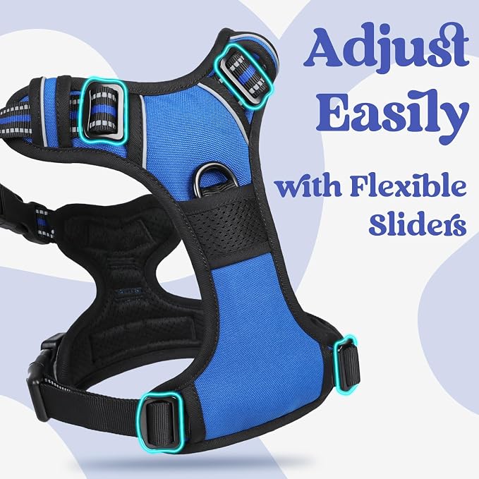 rabbitgoo Dog Harness Small Sized, No Pull Easy On & Off with 3 Buckles Pet Harness, Adjustable Soft Walking Vest with 2 Clips and Handle, Reflective for Small Dogs, Blue, S