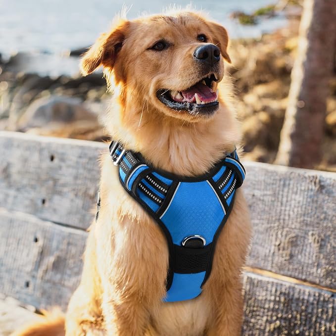 rabbitgoo Dog Harness for Large Dogs, 3 Buckles Easy On & Off No Pull Pet Vest, Soft Padded Walking Pet Harness with Control Handle, Adjustable and Reflective, Blue, XL