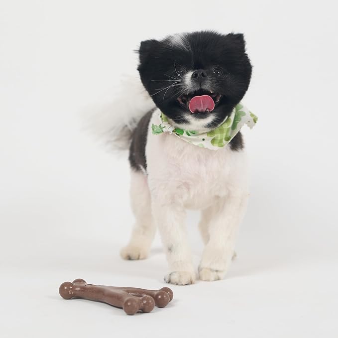 SPOT Bam-Bones Wishbone Dog Chew Toy, Bamboo Fiber Blend, Non-Splintering Durable Chew for Light to Moderate Chewers, Adult Dogs & Teething Puppies 10–30 lbs, Bacon Flavor, 5.25 in