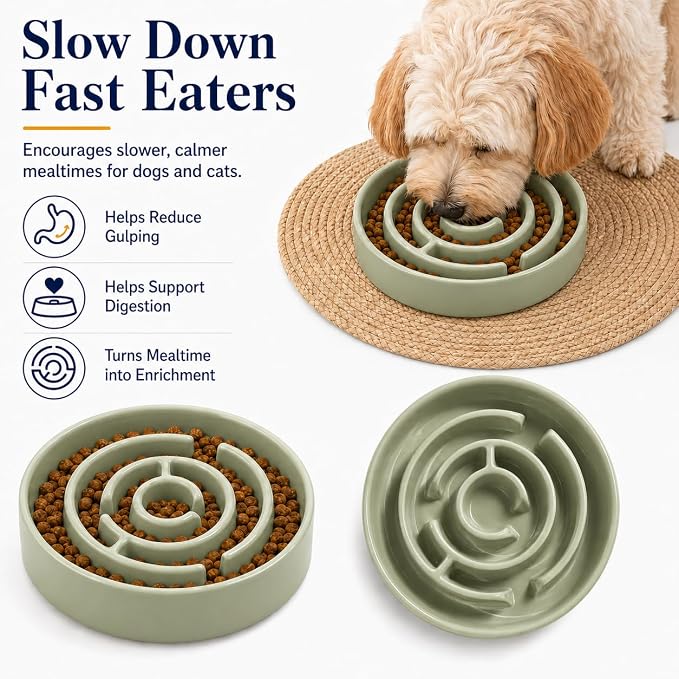 Ceramic Slow Feeder Dog Bowls with Anti-Slip, Slow Feeder & Non-Slip Design, Boredom and Anxiety Reducer, Suitable for All Breed Dogs and Cat (Ceramic-Green)