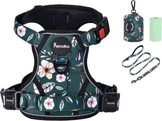 Petmolico No Pull Dog Harness Set with Leash Attachment Easy Control Handle Reflective Harness Vest Small Breed, Puppy Vest and Leash Set with Poop Bag Holder, Small - Green Rhododendron