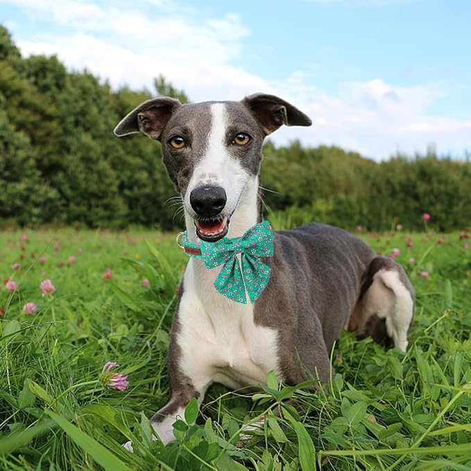 Unique style paws Cartoon Dog Collar with Bowtie Spring Summer Puppy Collar with Flower for Small Medium Large Boys Girls Dogs