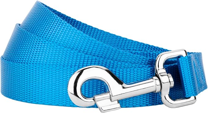 Country Brook Petz - Everyday Nylon Dog Leash - Strong, Durable, Solid Color Leash with Easy to Use Snap - 25+ Colors (1 Inch Wide, 6 Foot, Ice Blue)