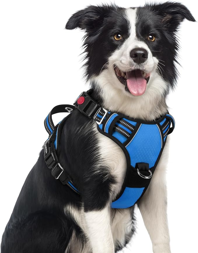 rabbitgoo Dog Harness Medium Sized, 3 Buckles Easy On & Off No Pull Pet Vest, Soft Padded Walking Pet Harness with Control Handle, Adjustable and Reflective, Blue, M