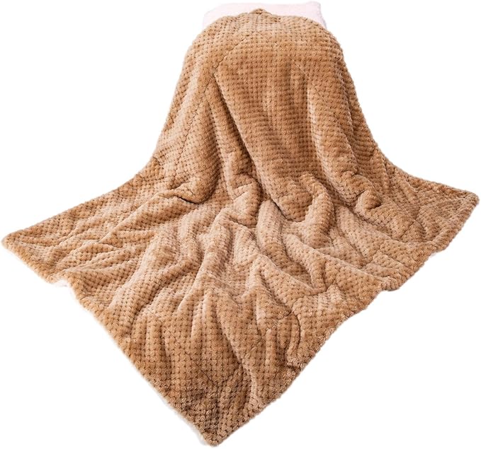 DW-Mocha Fuzzy Dog, Cat & Pet Blanket - Warm & Soft Plush Fleece Receiving Blanket for Dog Bed, Cat Bed, Couch, Sofa, Travel & Outdoor, Camping (24" x 32")