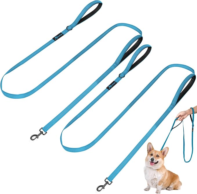 2 Pack Dog Leash for Small to Medium Dogs 6 ft with 3 Reflective Stitching and 2 Traffic Padded Handles Dog Lead/Rope, Pet Leash for Running Walking Training (6 ft x 0.6 in - Blue 2 Pack)