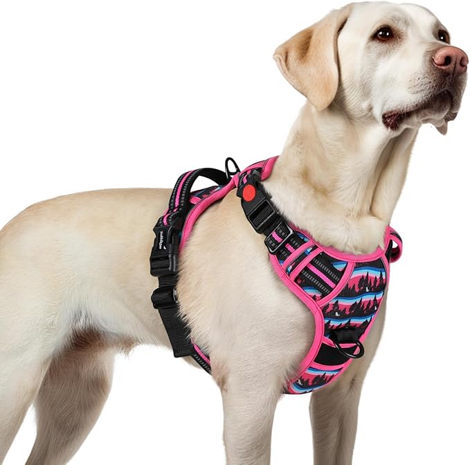 rabbitgoo Dog Harness for Large, No Pull Easy On & Off with 3 Buckles Pet Harness, Adjustable Soft Walking Vest with 2 Clips and Handle, Reflective for Large Dogs, Mountain Rose, L