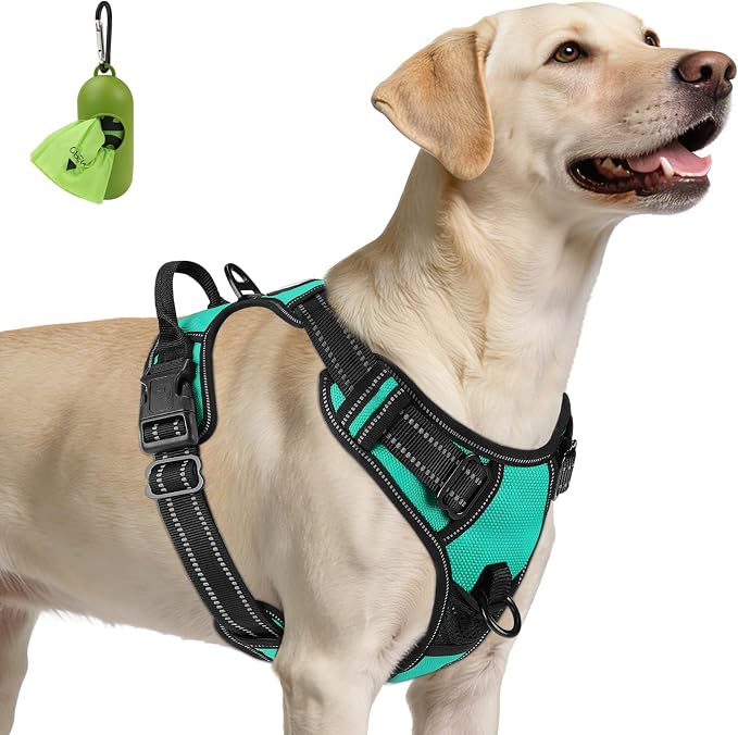 Joytale No Pull Dog Harness for Large Dogs, Reflective Pet Vest with Front Clip, Adjustable Soft Padded Harnesses with Easy Control Handle for Training and Walking, Teal, L