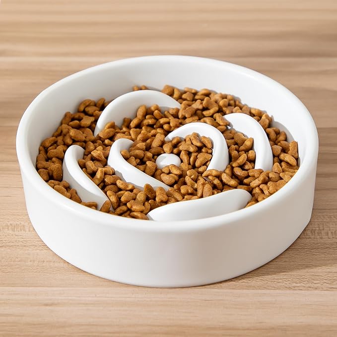 6'' Ceramic Slow Feeder Dog Bowls - Petal Shape Modern Dog Food Dish for Cats and Small Breed Dogs, Puzzle Maze Bowl to Slow Down Eating, Anti-Gulping, Dishwasher & Microwave Safe, White