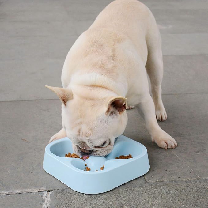Healthy Slow Feeding Dog Bowl for French Bulldog -Slow Feeder Dog Bowl No Chocking Dog Cat Food Water Bowl with Four-Leaf Clover Pattern (Blue)