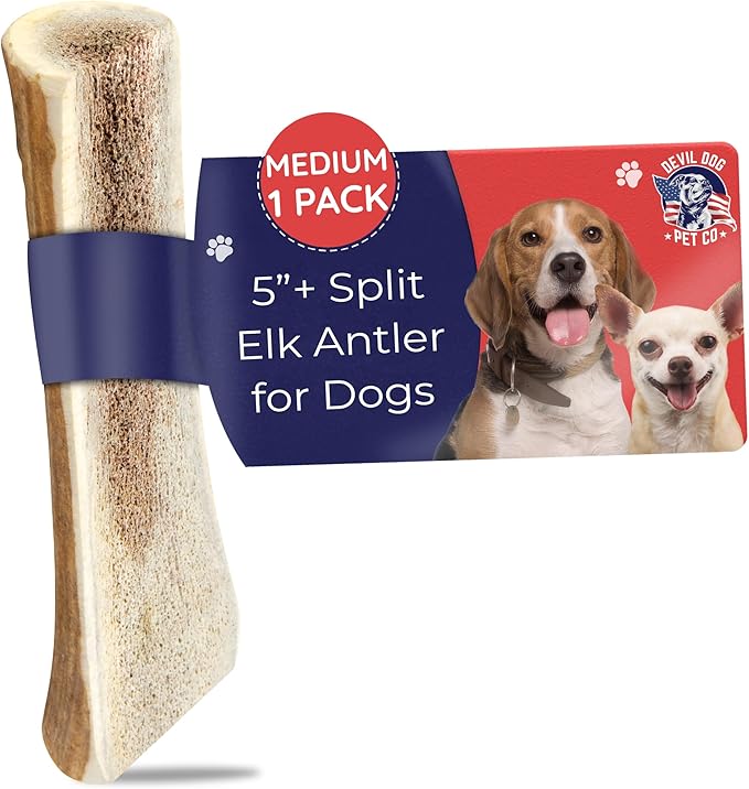 Devil Dog Pet Co. Split Elk Antlers for Dogs, Natural Dog Chew with Exposed Marrow - Long Lasting and Odor Free - USA Sourced - Cleaner Teeth, Anxiety & Boredom Relief - Medium 5"+ - Antler Bone