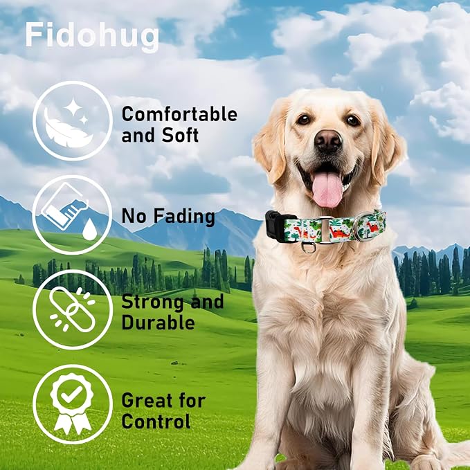 Martingale Dog Collars with Buckle No Pull Training Dog Collar for Large Dogs (Green Dinosaur, Large)