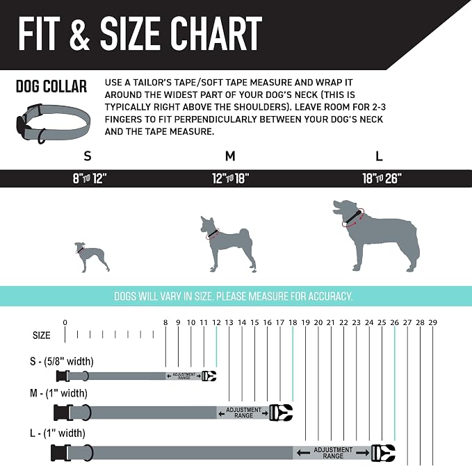 Wolfgang Heavy Duty, Adjustable Dog Collar with Quick Release Nylon Buckle for Walking & Training, FuzzyTails Print, Large