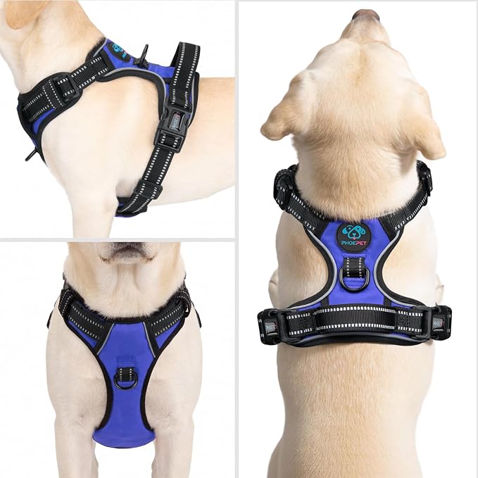 PHOEPET No Pull Dog Harnesses for Small Puppies Reflective Adjustable Front Clip Vest with 2 Metal Leash Attachment Hooks Soft Handle [Over The Head Design](XL, Royal Blue)