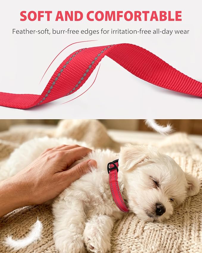 Joytale Small Dog Collar, Durable Double-Sided Reflective Nylon Collar for Night Safety, Adjustable Quick-Release for Active Breeds, Red, S (3/4" Width)