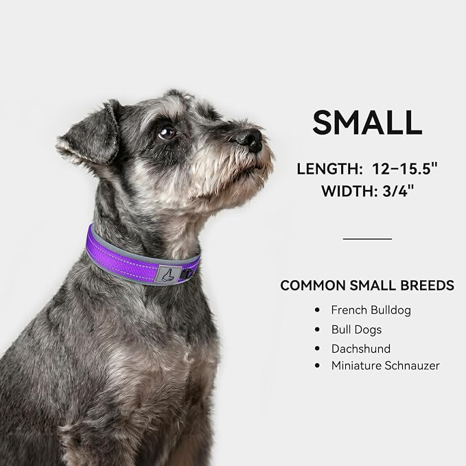Joytale Dog Collar for Small Dogs, Neoprene Padded and Adjustable, Reflective Wide Heavy Duty Pet Collars with Durable Metal Belt Buckle for Walking, Purple, S