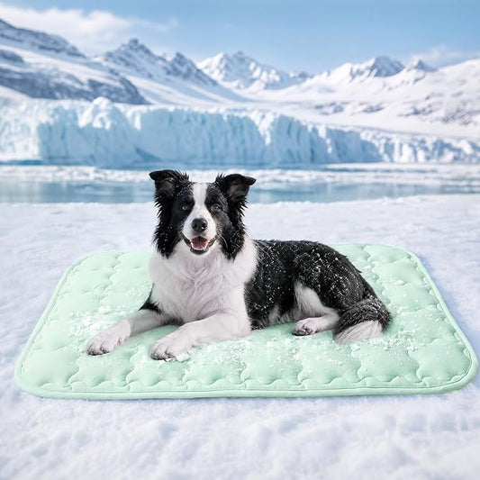 Luciphia Premium Dog Cooling Mat Non-Slip Q-MAX>0.5 Self-Cooling Pad for Small Pet Cat Indoor Portable Kennel Puppy Bed for Summer Crate Pad for Dog Washable Green 20x30 inches