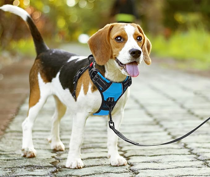 PoyPet No Pull Dog Harness, No Choke Front Clip Dog Reflective Harness, Adjustable Soft Padded Pet Vest with Easy Control Handle for Small to Large Dogs(Blue,L)