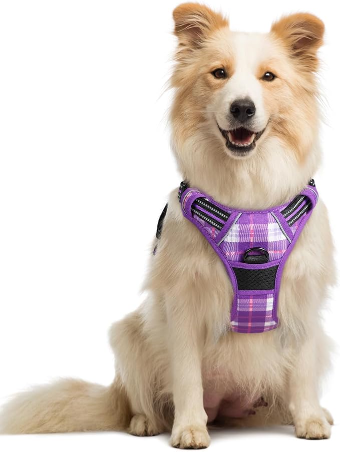 rabbitgoo Dog Harness No Pull with 2 Leash Clips, Adjustable Soft Padded, Reflective Oxford No Choke Pet Vest with Easy Control Handle for Medium Sized Dogs, Purple Plaid, M