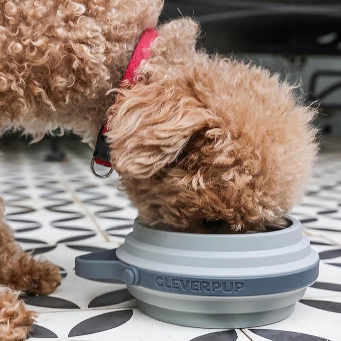 Cleverpup Nomad Small Collapsible Travel Dog Bowl - 2 Cup BPA-Free Silicone for Small & Medium Dogs, Portable & Sturdy, Food & Water, Dishwasher Safe - Grey Silicone