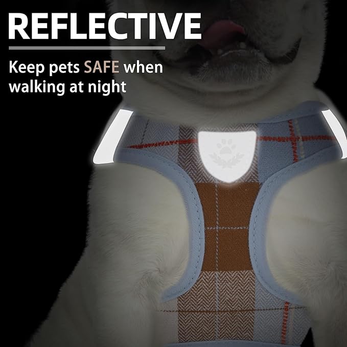 PUPTECK Adjustable Dog Harness Collar and Leash Set Step in No Pull Pet Harness for Small Medium Dogs Puppy and Cat Outdoor Walking Running, Soft Mesh Padded Reflective Vest Harnesses, BlueBrown XXS