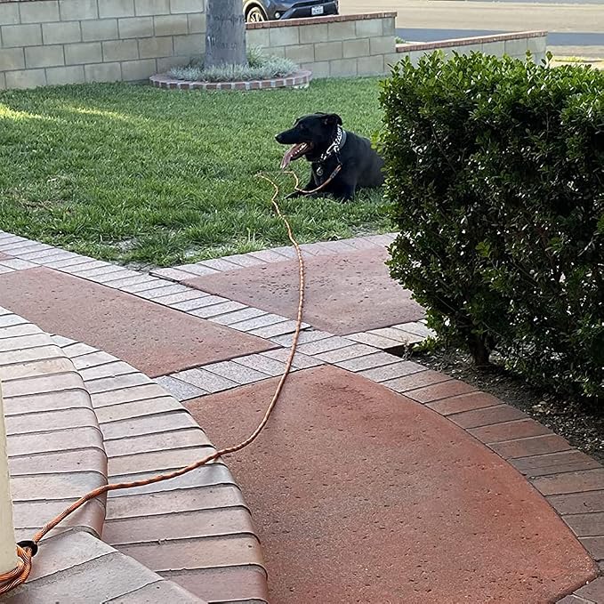 BTINESFUL Dog Tie Out, Check Cord Long Tether Rope Leash, 8ft 12ft 20ft 30ft 50ft 75ft Yard Training Dog Lead - Large Medium Small Dogs Outdoor Playing, Camping, or Backyard (12ft, Orange Black)