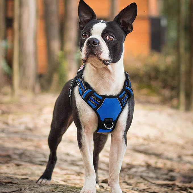 rabbitgoo Dog Harness Small Sized, 3 Buckles Easy On & Off No Pull Pet Vest, Soft Padded Walking Pet Harness with Control Handle, Adjustable and Reflective, Royal Blue, S