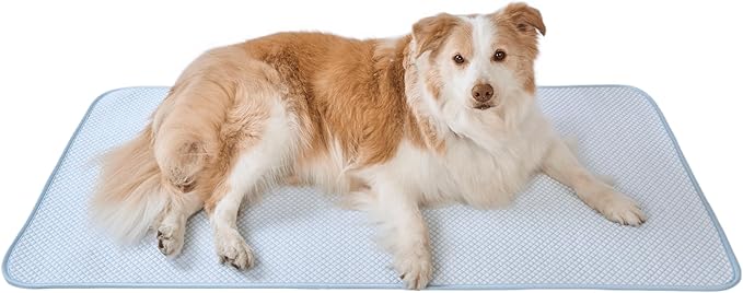 petfelix Dog Cooling Mat, Cooling Dog Bed and Cooling Pad for Dog with Qmax 0.4 Yarn, Breathable 3D Airflow Layers, Machine Washable Non Slip Base for Pets, Blue, L, 36"*24"
