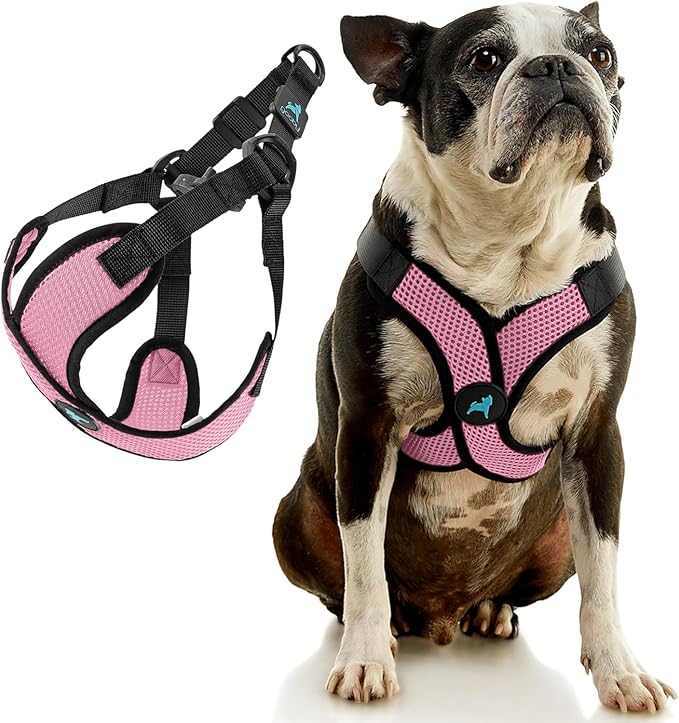 Gooby Comfort X Step in Lite Dog Harness - Choke Free, Escape Free with Light Breathable Mesh - Step in Dog Harness for Small Dogs Only - Quick Release Buckle, Metal D-Rings - Pink, Large
