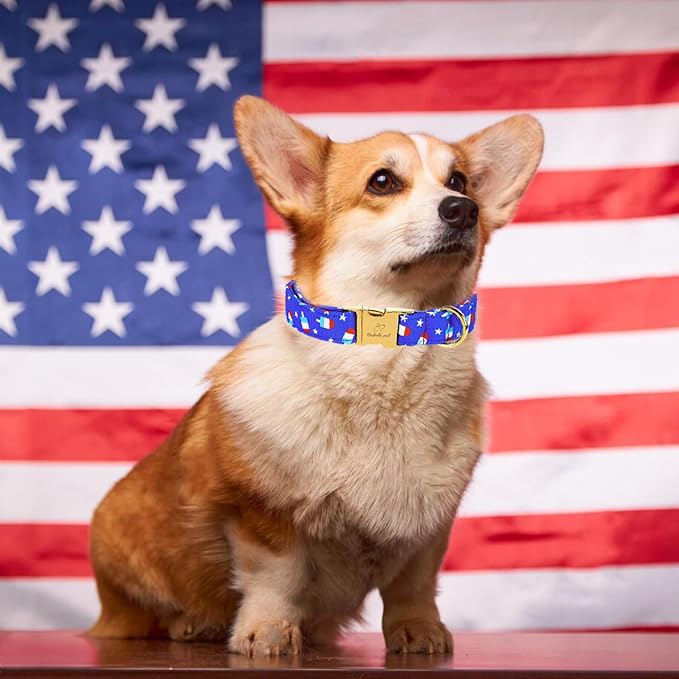 4th of July Dog Collar, Blue Flag Popsicle Patriotic Pet Collar with Metal Buckle, Adjustable Summer Holiday Dog Collars for Small Medium Large Dogs XS