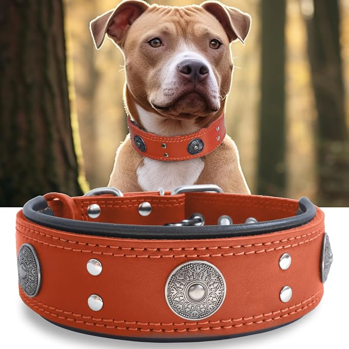 Genuine Leather Dog Collar for Large Dogs,2 in Wide Heavy Duty,OR-L | Handmade,Stainless Steel Pin Buckle,Soft Padded,Alloy Studded,Luxury Eye-catching Design,Medium Large Giant Breeds,21-25 in