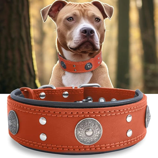 Genuine Leather Dog Collar for Large Dogs,2 in Wide Heavy Duty,OR-L | Handmade,Stainless Steel Pin Buckle,Soft Padded,Alloy Studded,Luxury Eye-catching Design,Medium Large Giant Breeds,21-25 in
