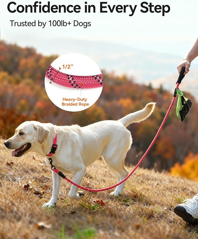 Joytale Dog Leash for Large Dogs, Heavy Duty Nylon Leashes with Comfortable Padded Handle and Highly Reflective Threads, Ideal for Walking and Training, Pink, 6'×1/2''
