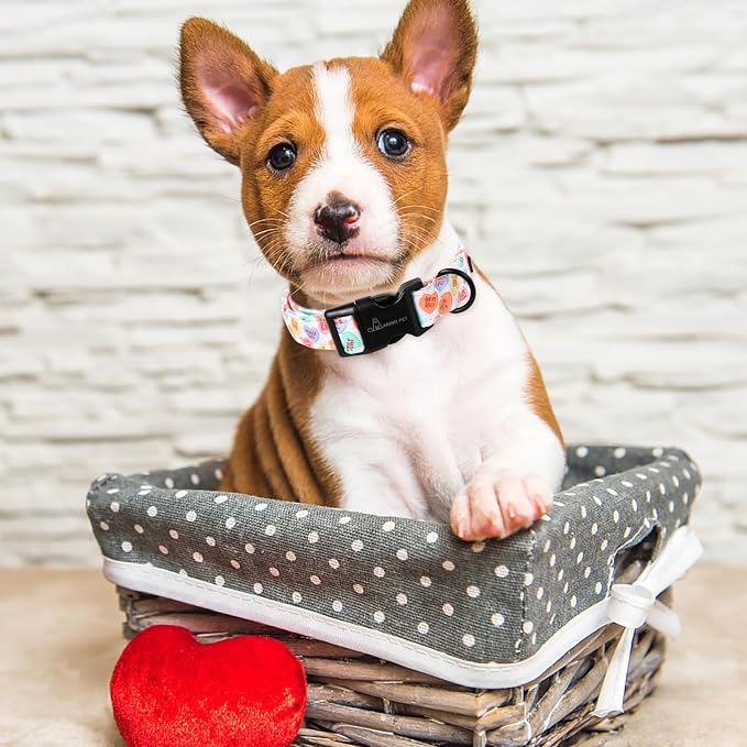 ARING PET Valentine's Day Dog Collar, Cute Candy Heart Pet Collars with Quick Release Buckle for Puppy Small Medium Large Boy Girl Dogs-S