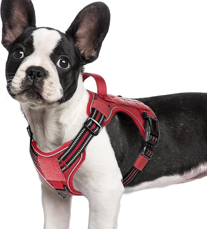 rabbitgoo Tactical Dog Harness for Small Dogs No Pull Adjustable Military Vest with Handle MOLLE Reflective Heavy Duty Dog Vest for Walking Training Hunting Outdoor Working Medium Size Dog Red S